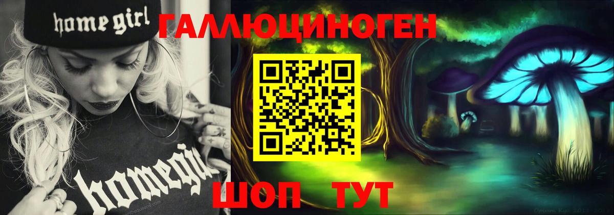 Ржев  Псилоцибиновые грибы Psilocybine cubensis  Вход с VPN 
